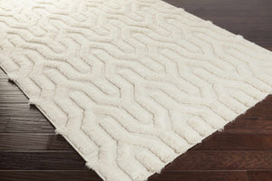 Ransom Area Rug - Clearance