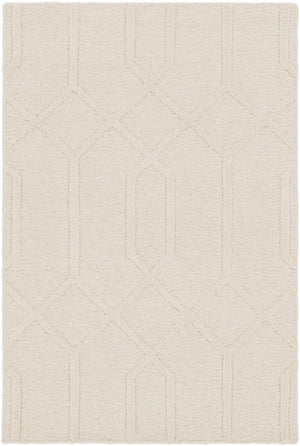 Raritan Carpet - Clearance