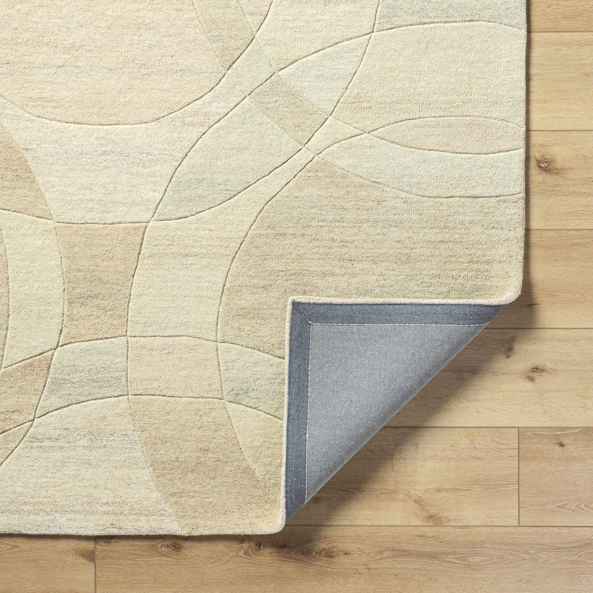 Rollo Area Rug