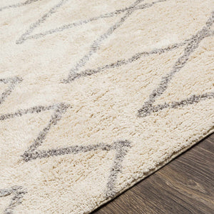Boutique Rugs Redlands Area Rug - view 9