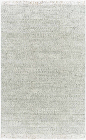 Sorell Sage Textured Weave Cottage Farmhouse Wool Handmade Area Rug - Clearance
