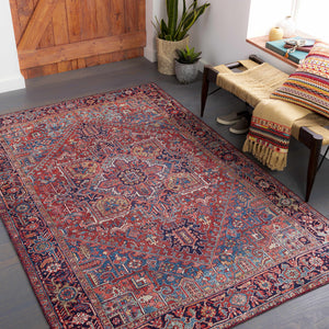 Ronneby Red Traditional Area Rug