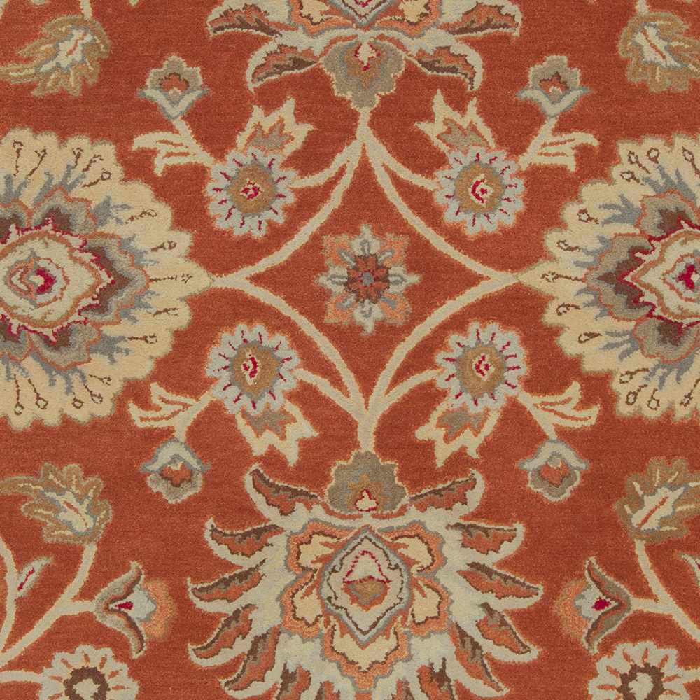 Conesus Hand Tufted Rust 1062 Area Rug - Clearance