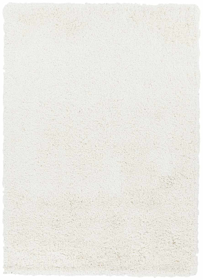 Boutique Rugs Rowdy Carpet - Clearance