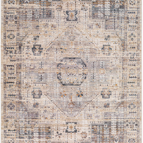 Iiona Area Rug