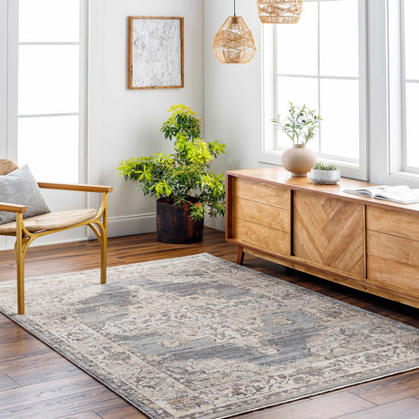 Crea Gray Zola Area Rug - Clearance