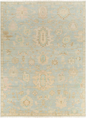 Blue Amiri Area Rug - Clearance