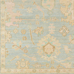 Blue Amiri Area Rug - Clearance