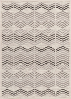 Saar Area Rug - Clearance