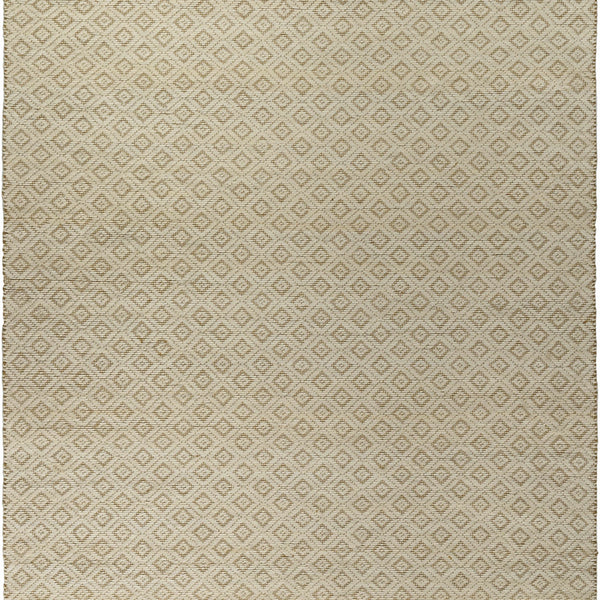 Irela Area Rug