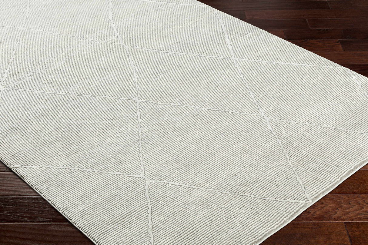 Aldis Grey Plush Textured Washable Rug  - Clearance