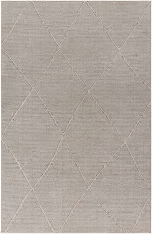 Aldis Grey Plush Textured Washable Rug  - Clearance