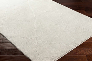 Aldis Grey Plush Textured Washable Rug  - Clearance