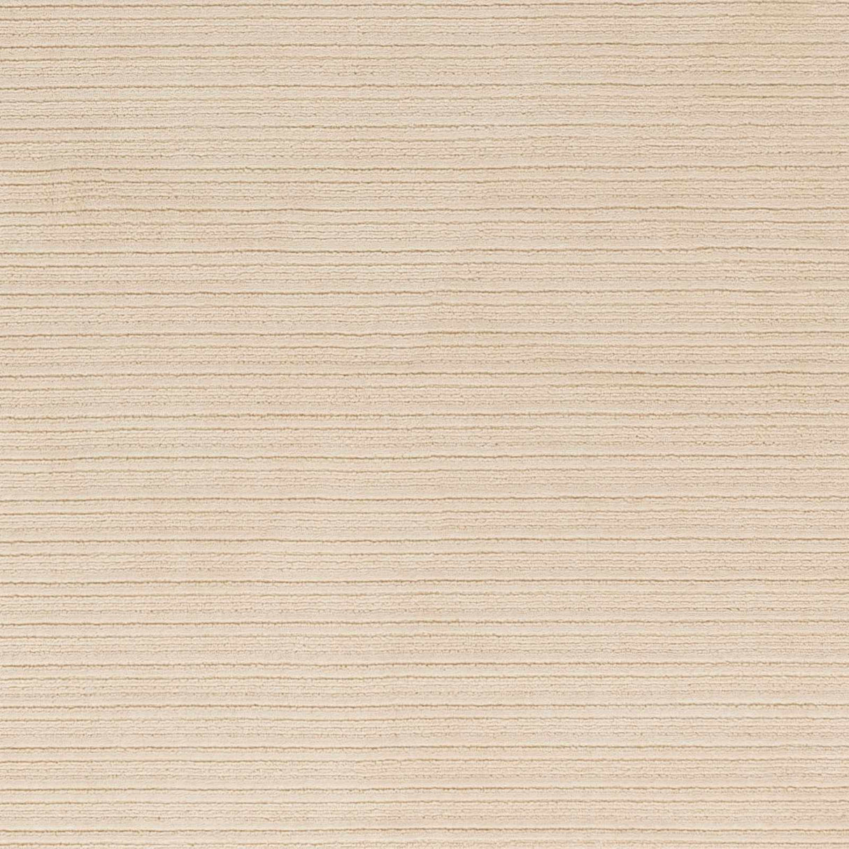 Kini Plush Textured Washable Rug