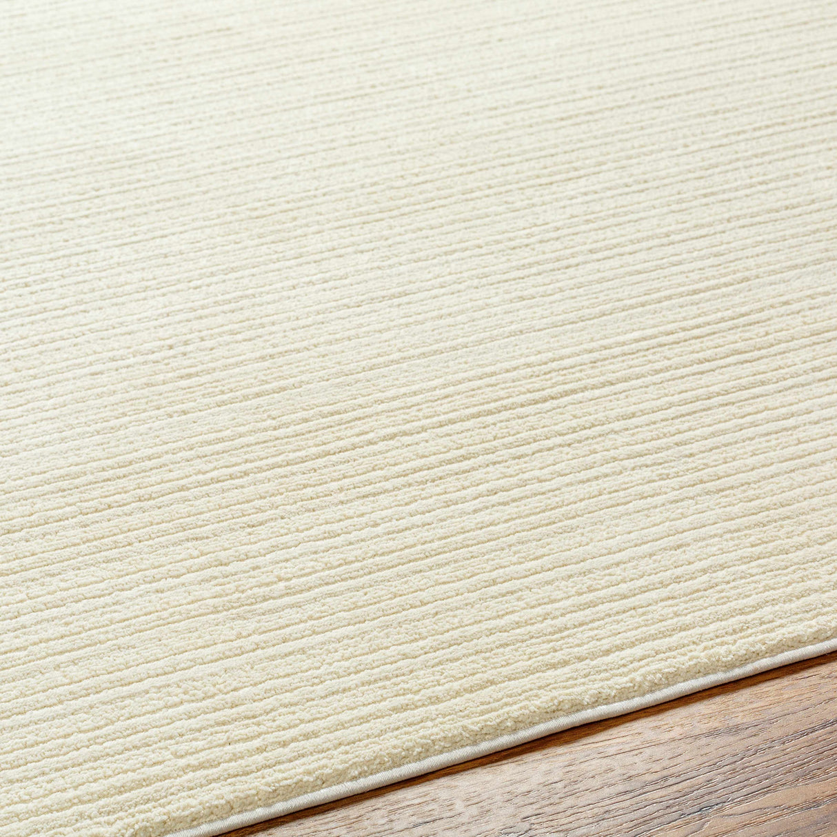 Kini Plush Textured Washable Rug