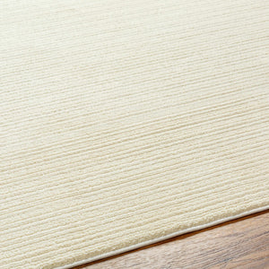 Kini Plush Textured Washable Rug