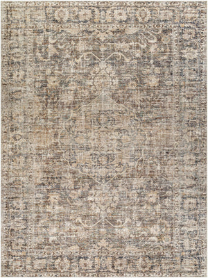 Marlene Medallion Brown Area Rug - Becki Owens x Livabliss