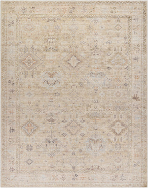 Marlene Damask Light Brown Area Rug - Becki Owens x Livabliss