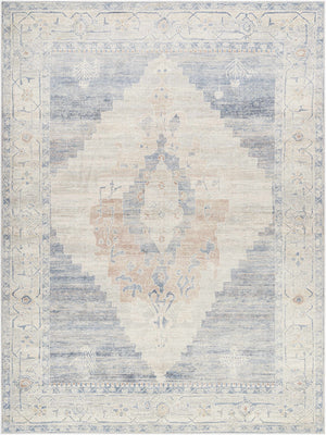 Luca Medallion Pewter Area Rug