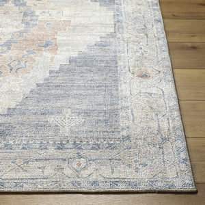Luca Medallion Pewter Area Rug