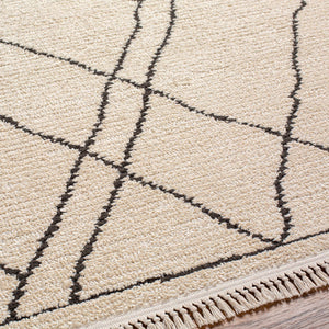 Ausca Area Rug - Clearance