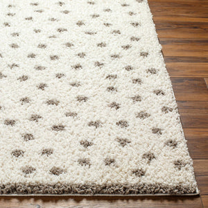 Chaia Dotted Cream & Gray Plush Area Rug - Clearance