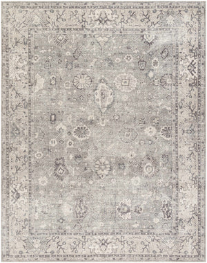 Davina Damask Light Gray - Livabliss x Becki Owens