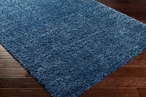Bluma Blue Area Rug - Clearance