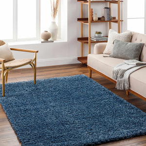 Bluma Blue Area Rug - Clearance