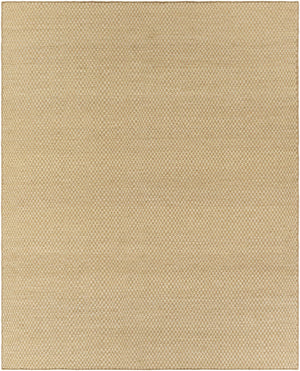 Ayers Beige Area Rug - Clearance