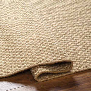 Ayers Beige Area Rug - Clearance
