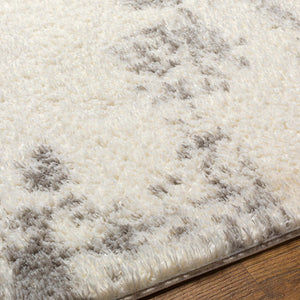 Azizi Area Rug