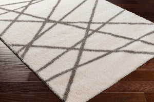 Dubem Area Rug - Clearance