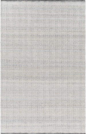 Light Gray Anane Area Rug - Clearance