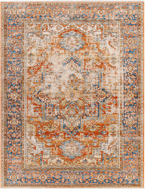 Basim Area Rug - Clearance