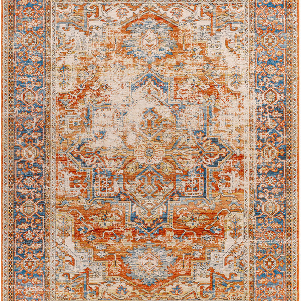 Basim Area Rug - Clearance