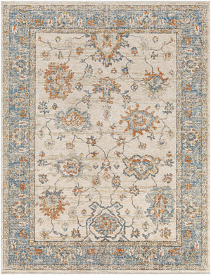 Luma Area Rug - Clearance