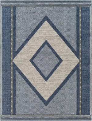 Onan Area Rug - Clearance