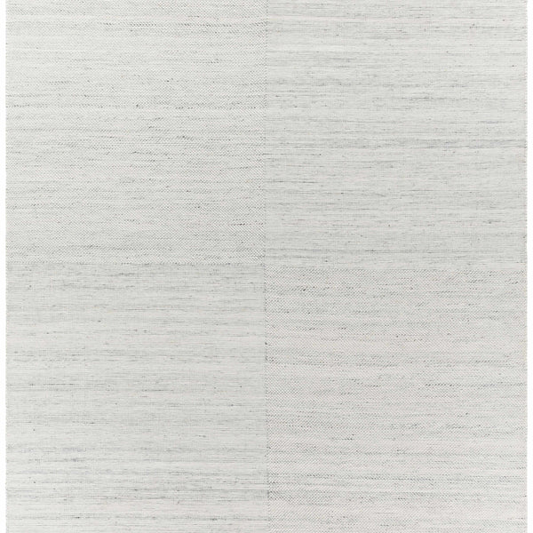 Anaya Beige & Blue Area Rug - Clearance