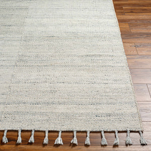 Anaya Beige & Blue Area Rug - Clearance