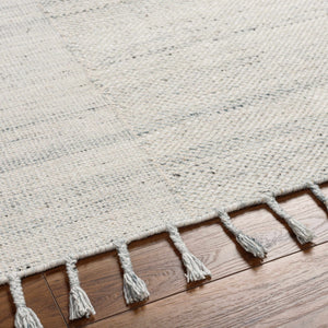Anaya Beige & Blue Area Rug - Clearance