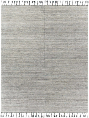 Anaya Beige & Teal Area Rug - Clearance
