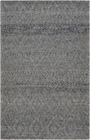 Kasib Dark Gray Hand Woven Area Rug - Clearance