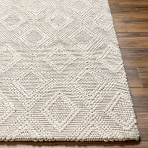 Kasib Beige Hand Woven Area Rug - Clearance