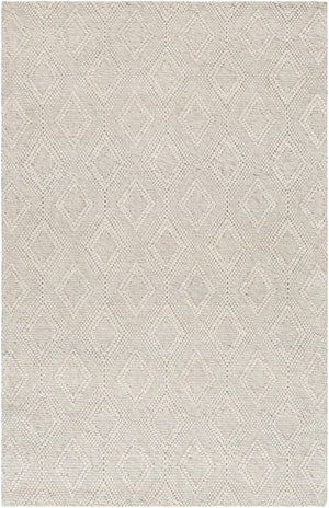Kasib Beige Hand Woven Area Rug - Clearance