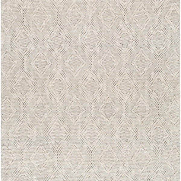 Kasib Beige Hand Woven Area Rug - Clearance