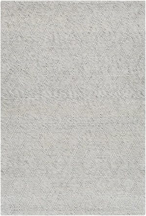 Kasib Gray Hand Woven Area Rug - Clearance