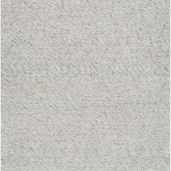 Kasib Gray Hand Woven Area Rug - Clearance