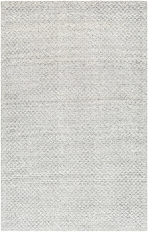 Kassa Gray Hand Woven Area Rug - Clearance