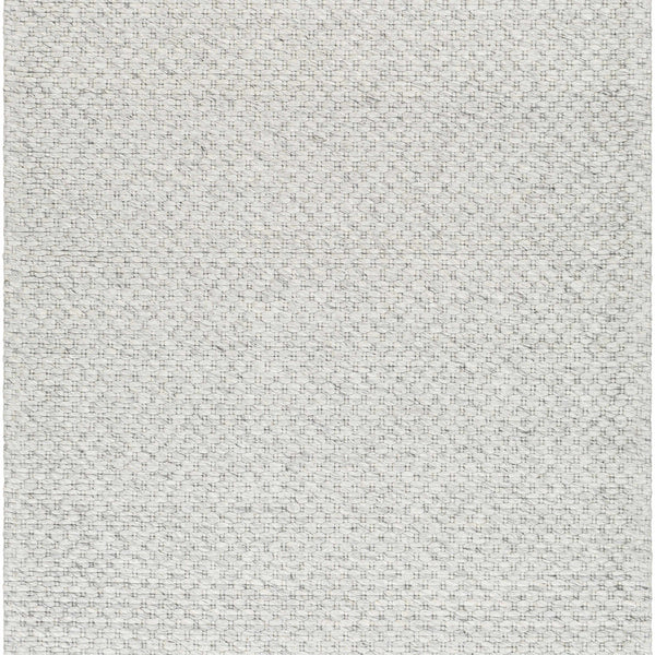 Kassa Gray Hand Woven Area Rug - Clearance